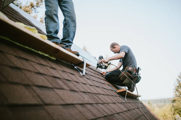 Best Metal Roofing Contractor  in Secy, AR